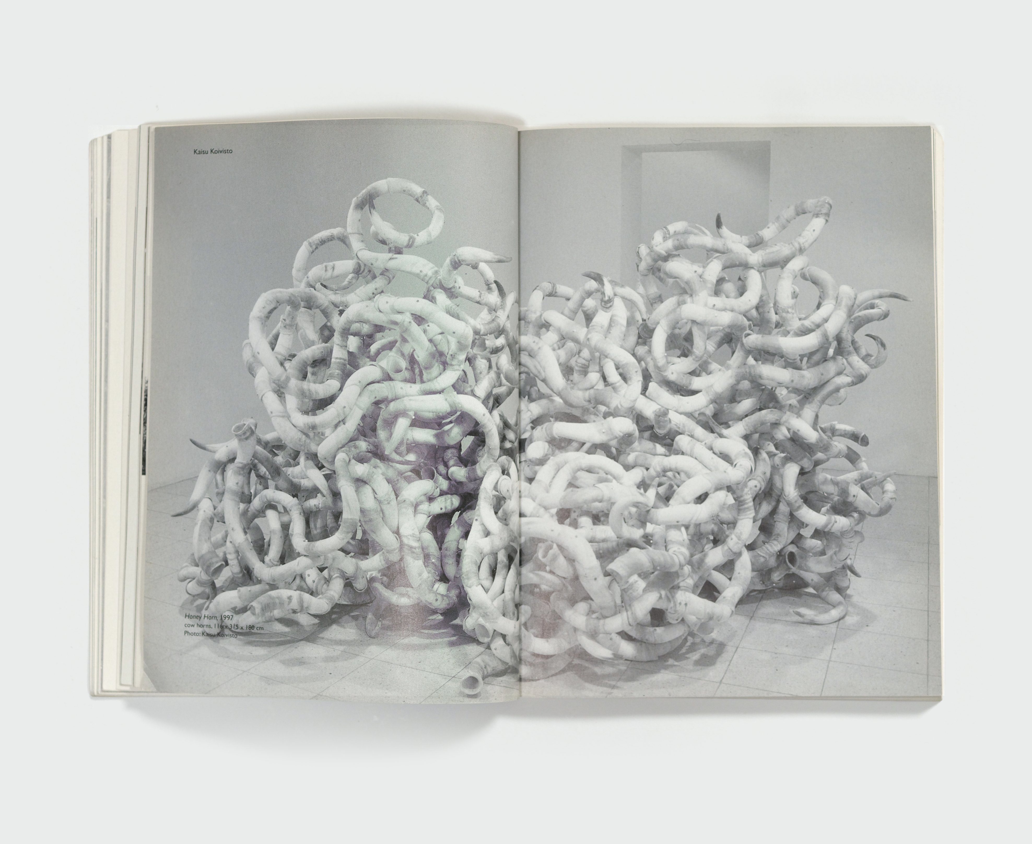 Animal. Anima. Animus. — spread 3