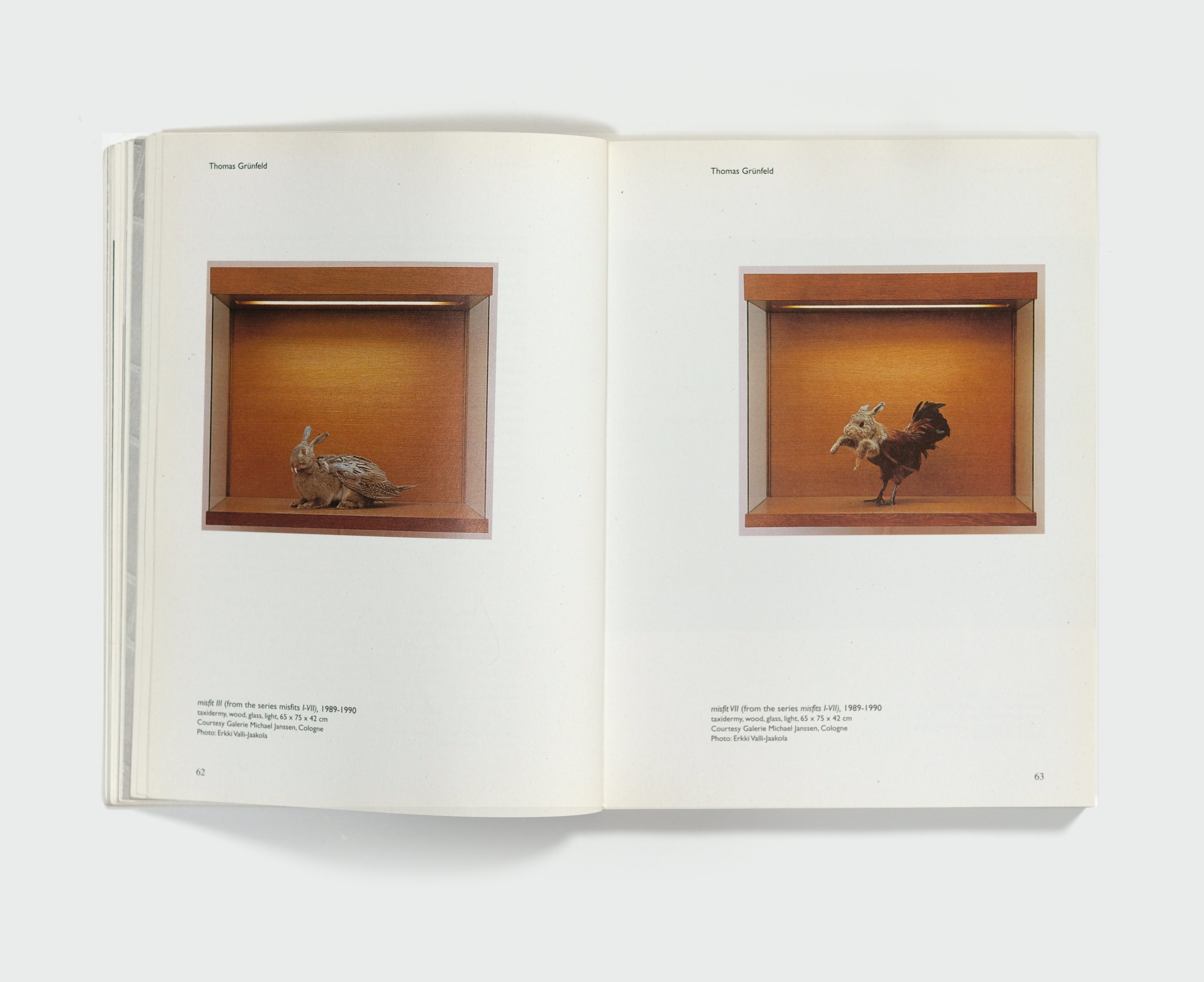 Animal. Anima. Animus. — spread 4
