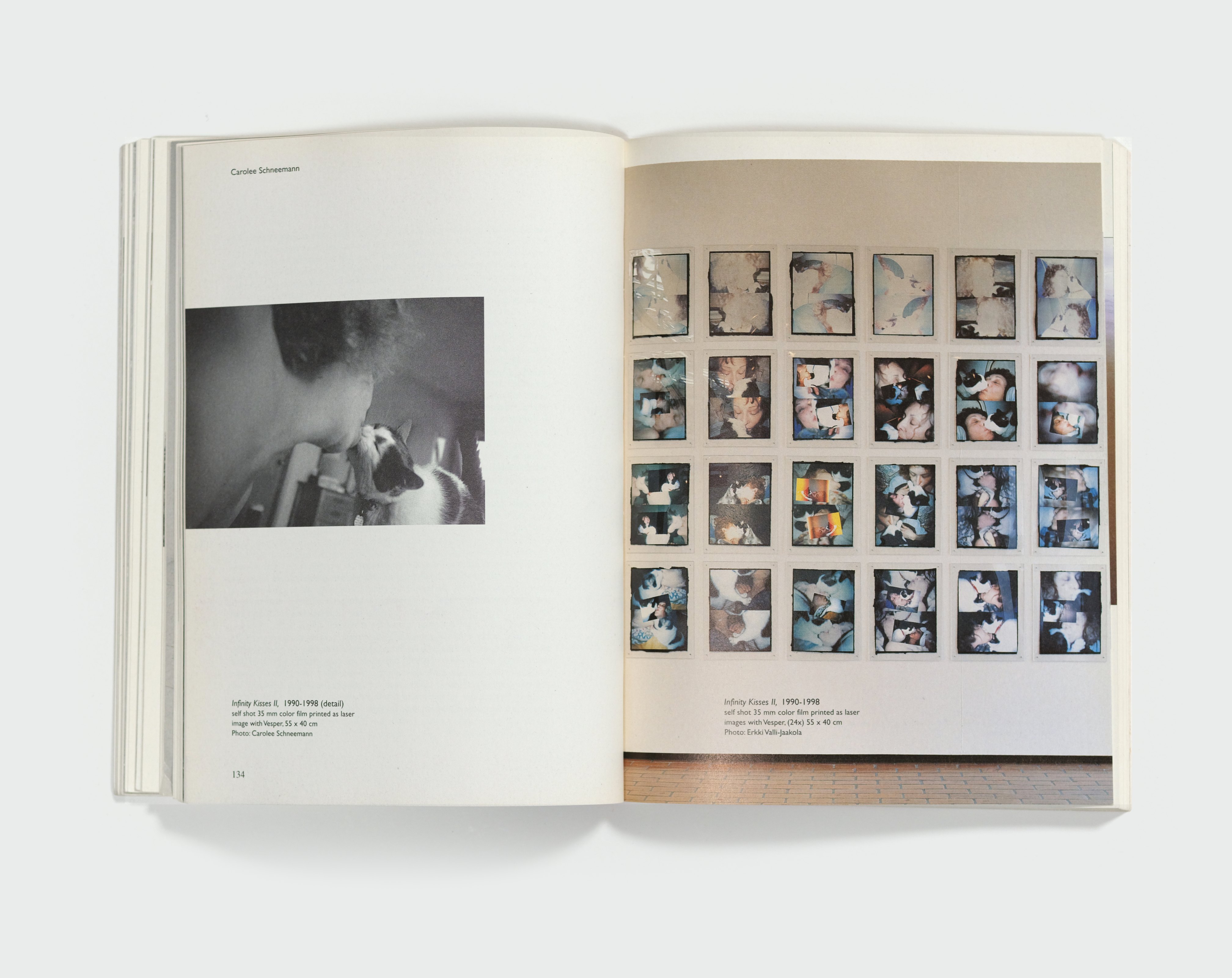 Animal. Anima. Animus. — spread 8