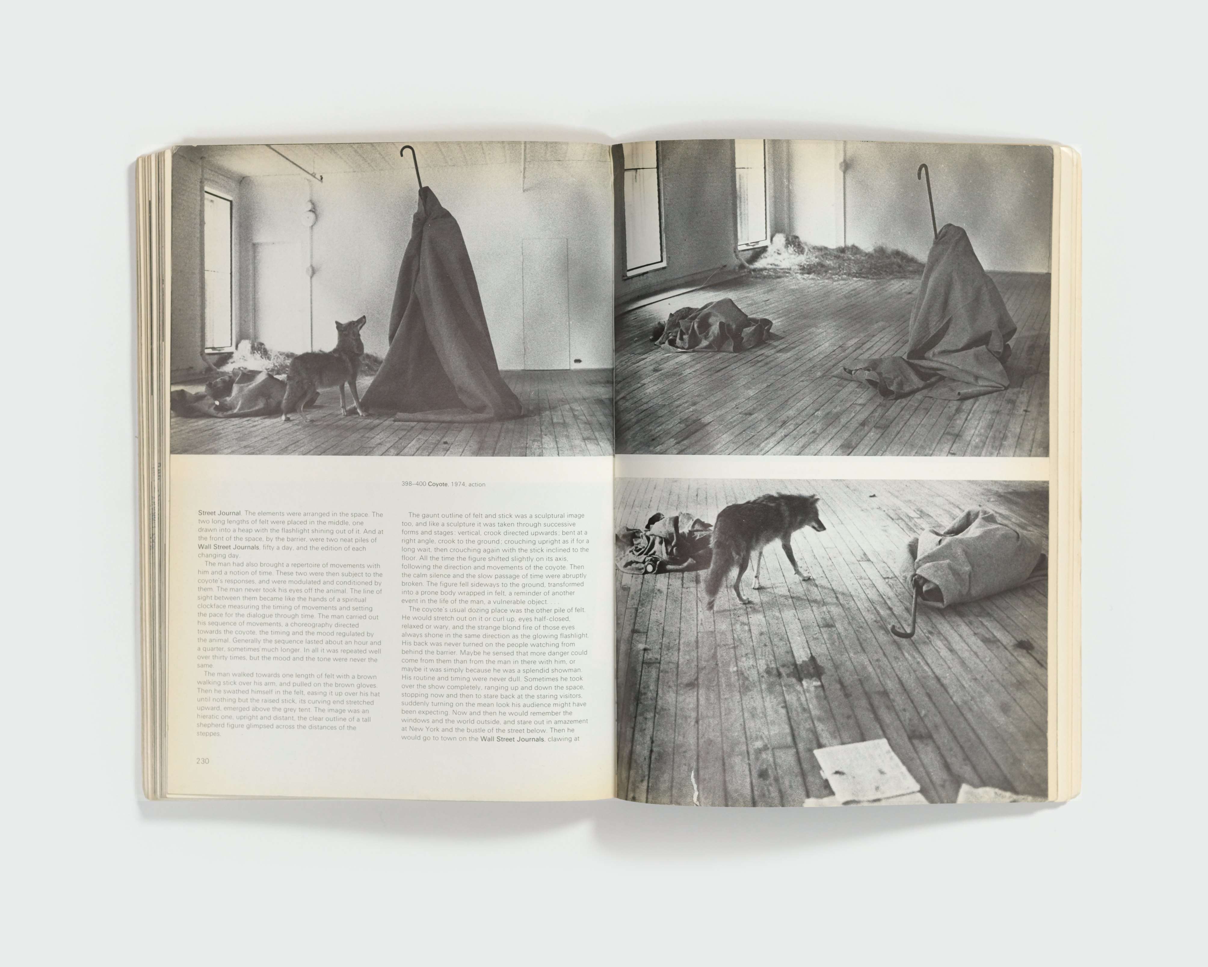 Joseph Beuys by Joseph Beuys — spread 4