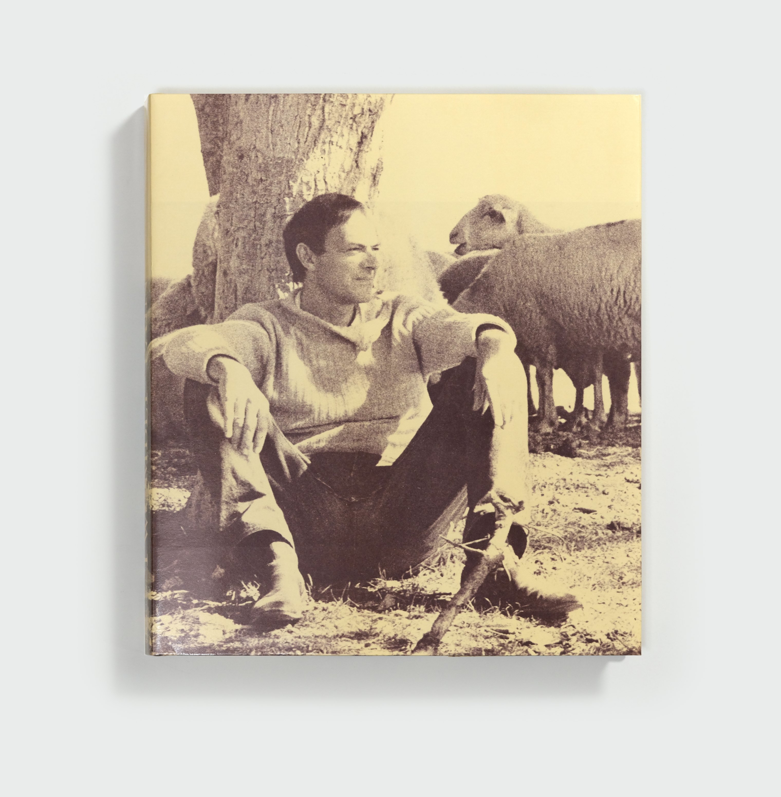 Bilder Paintings 1952-1976 by Cy Twombly — cover