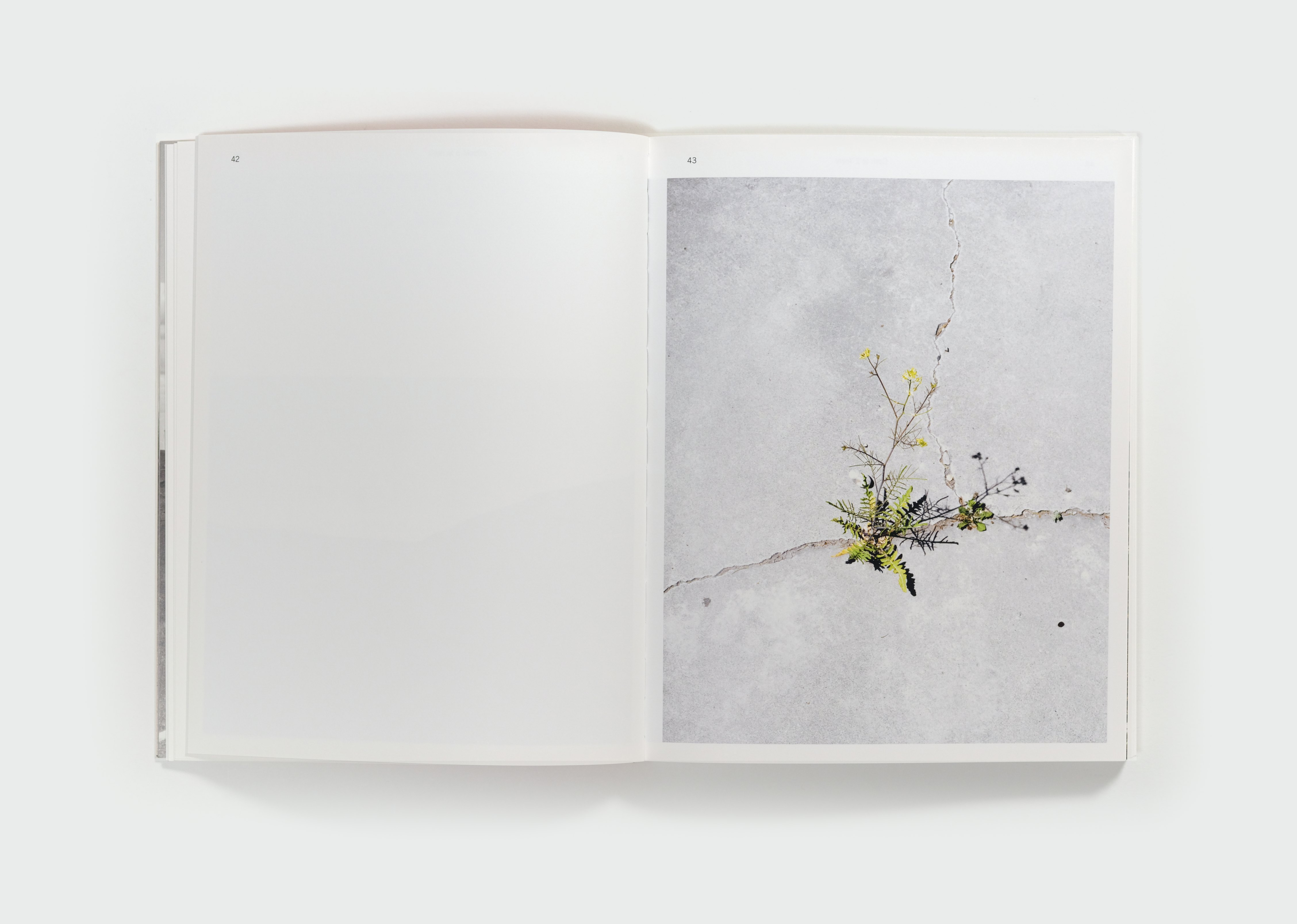 This is Bliss by Jon Horvath — spread 2