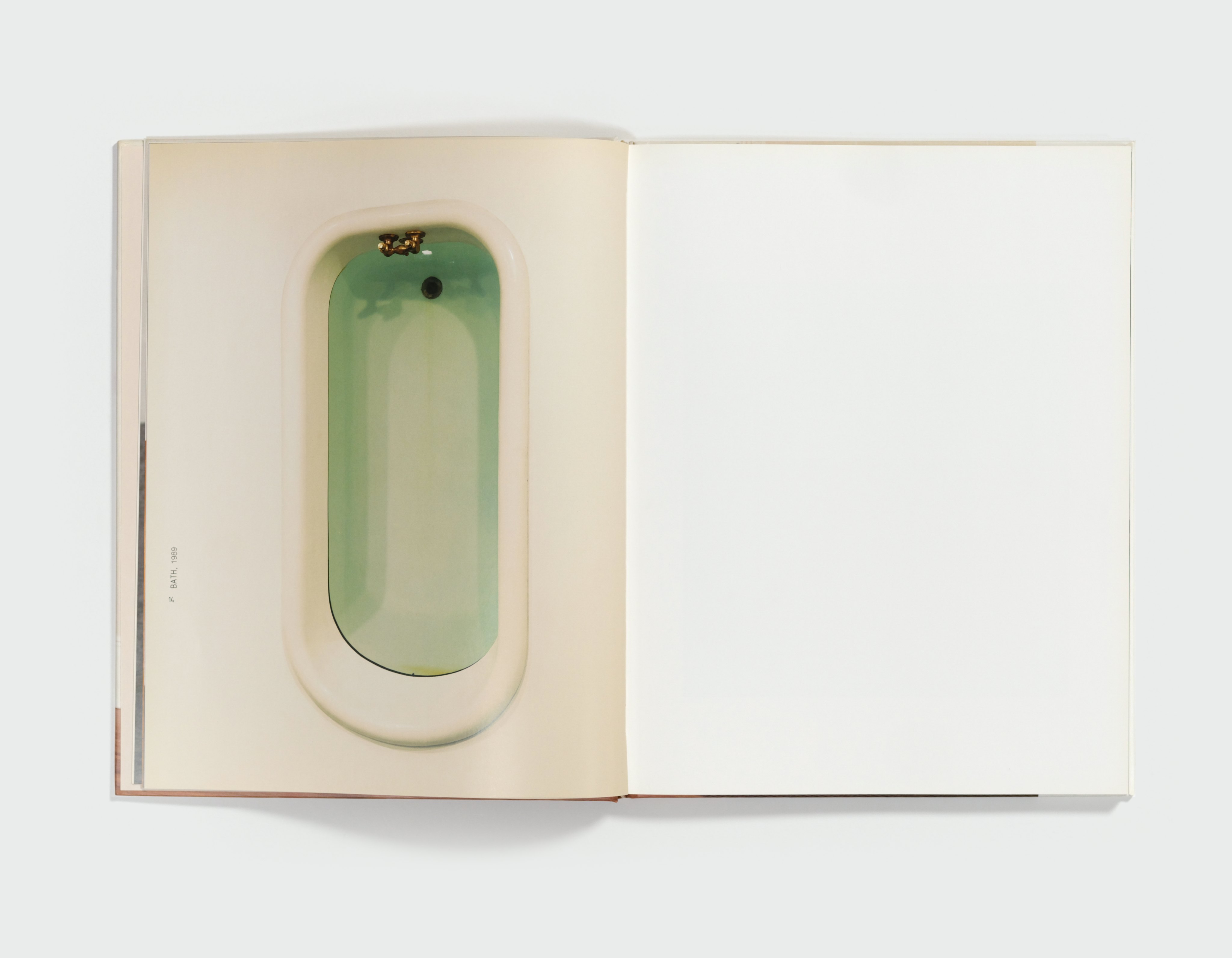 Charles Ray by Charles Ray — spread 1