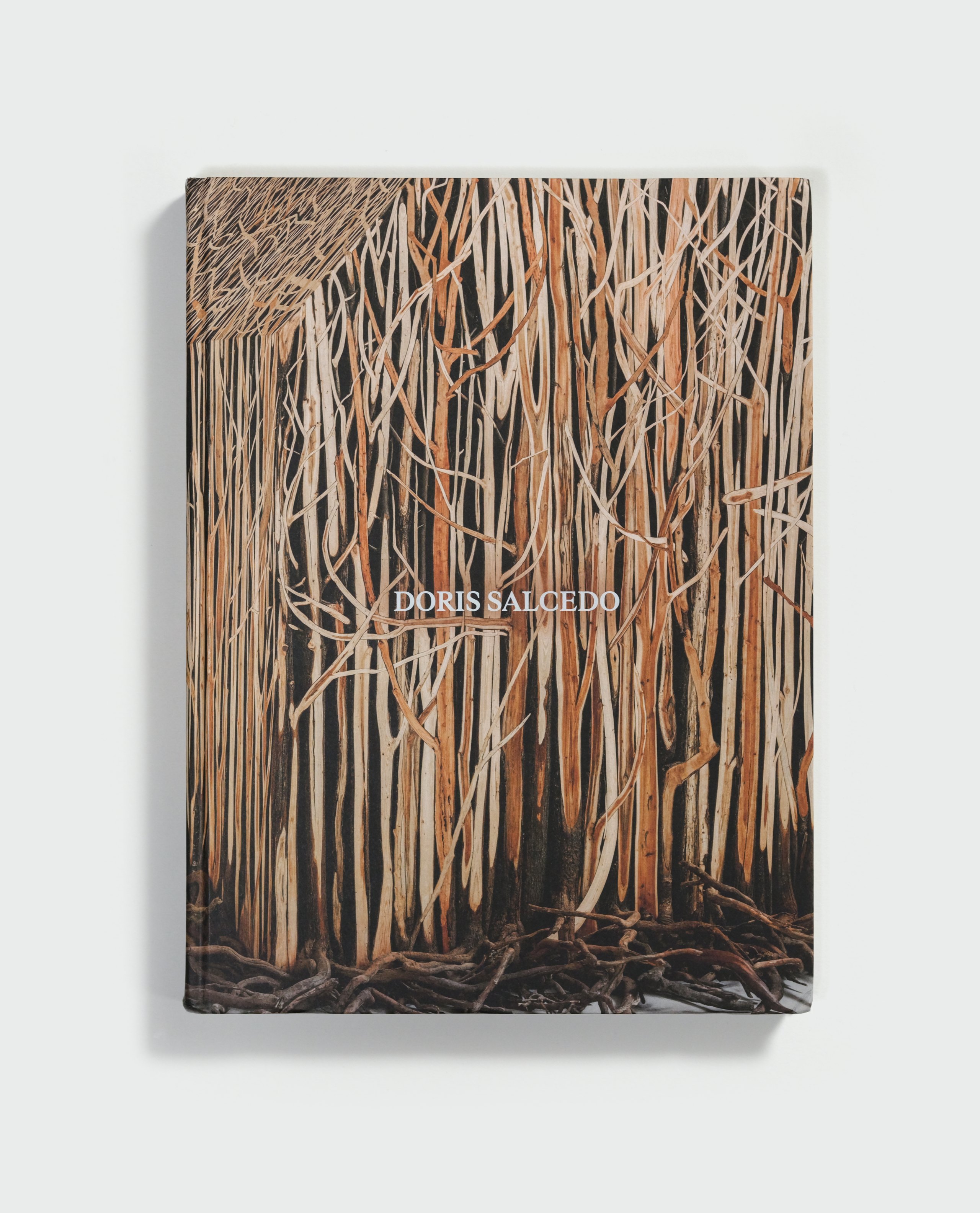 Doris Salcedo by Doris Salcedo — cover