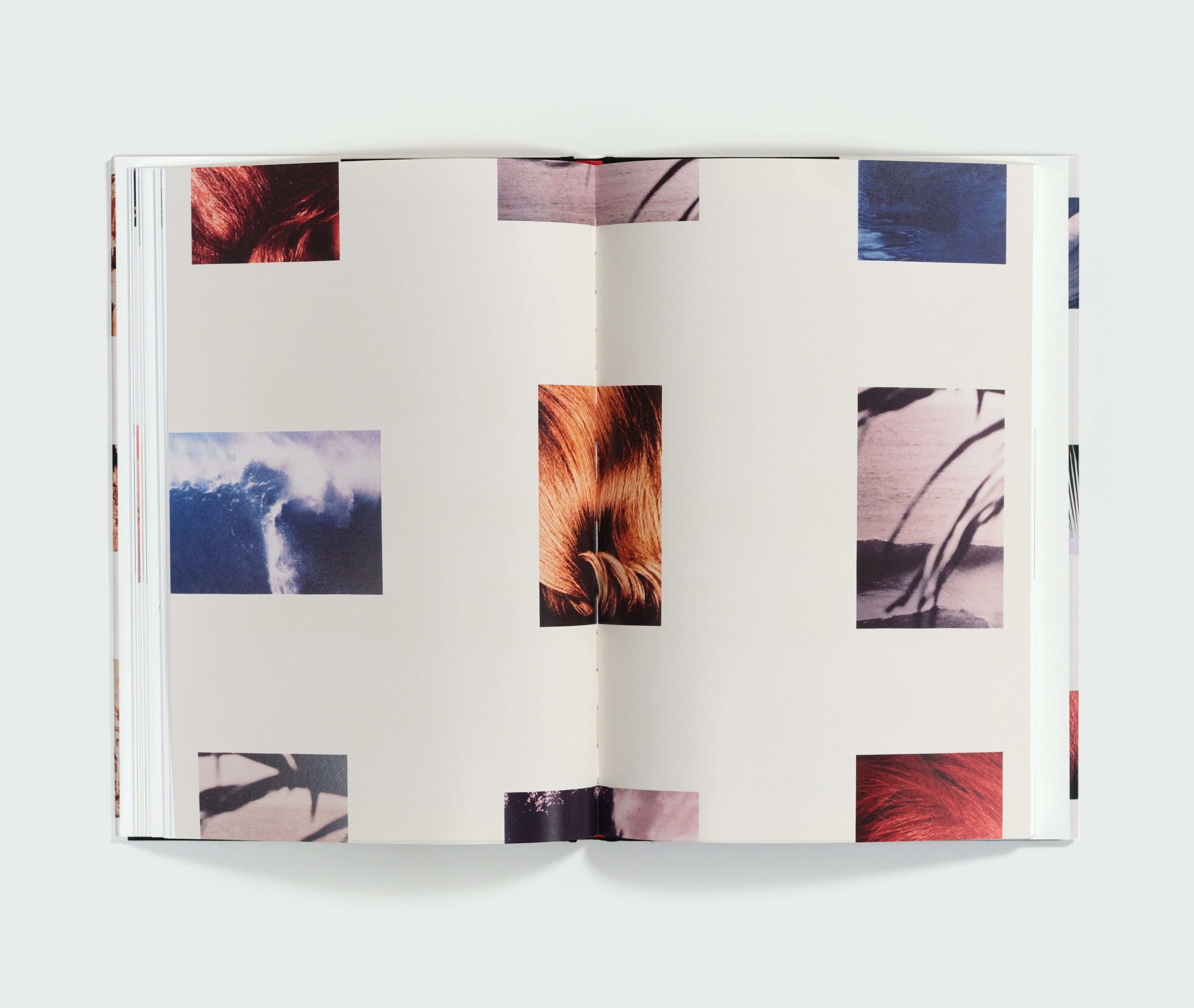 Gangs by Richard Prince — spread 6