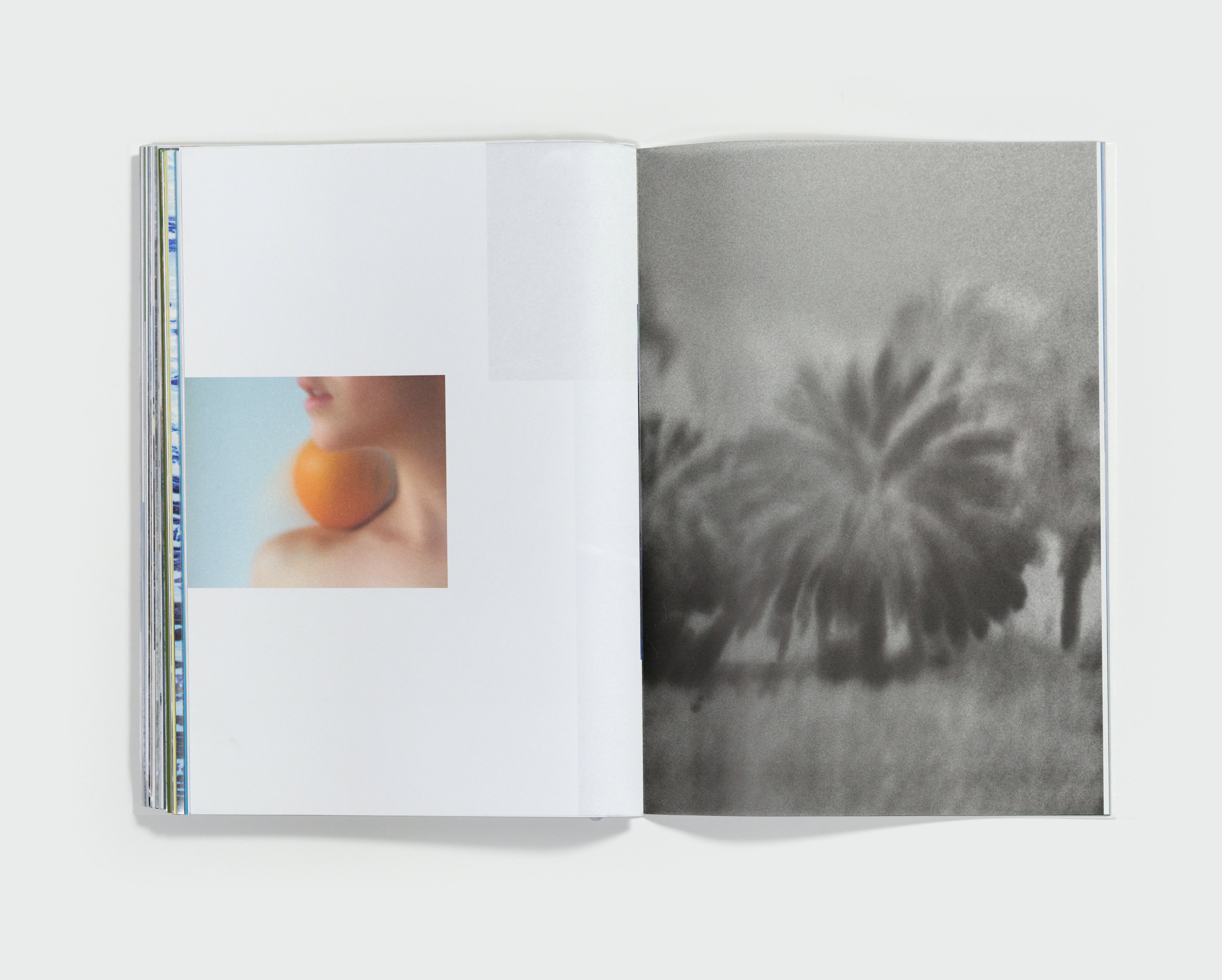 Pathêmes by Marcelo Gomes — spread 7
