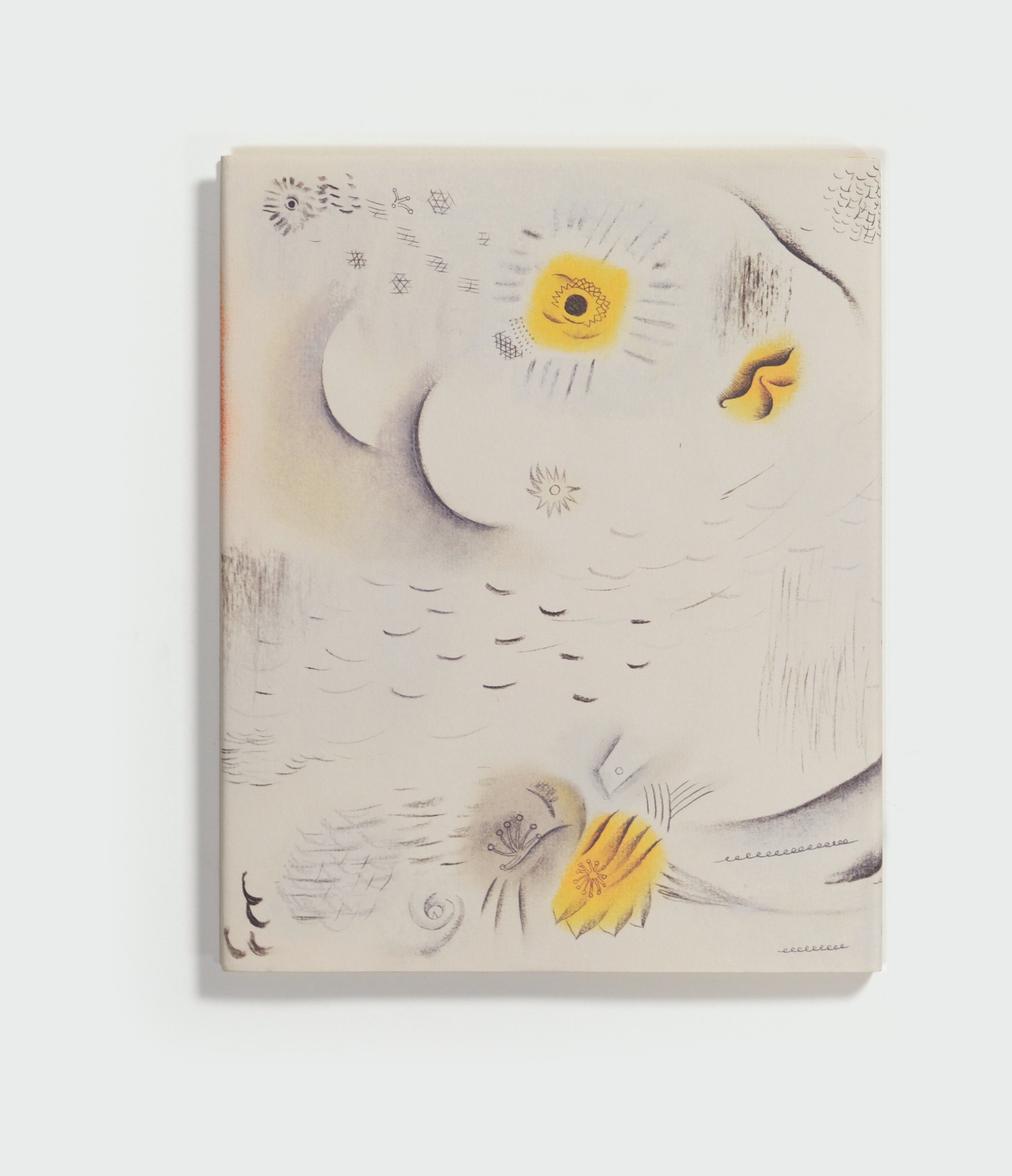 Participation by Jordan Weitzman — back cover