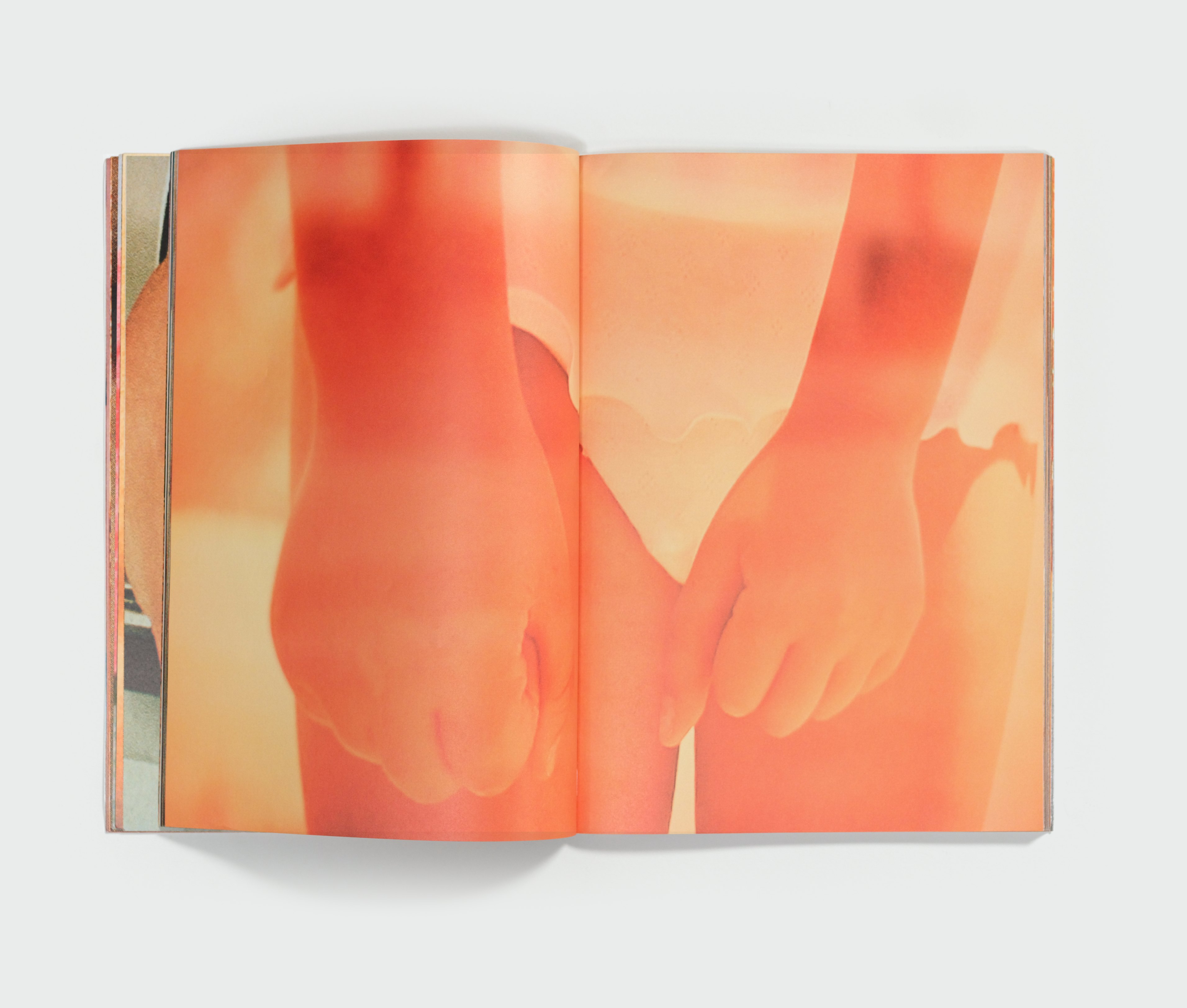 Primal by Anna Stüdeli — spread 8