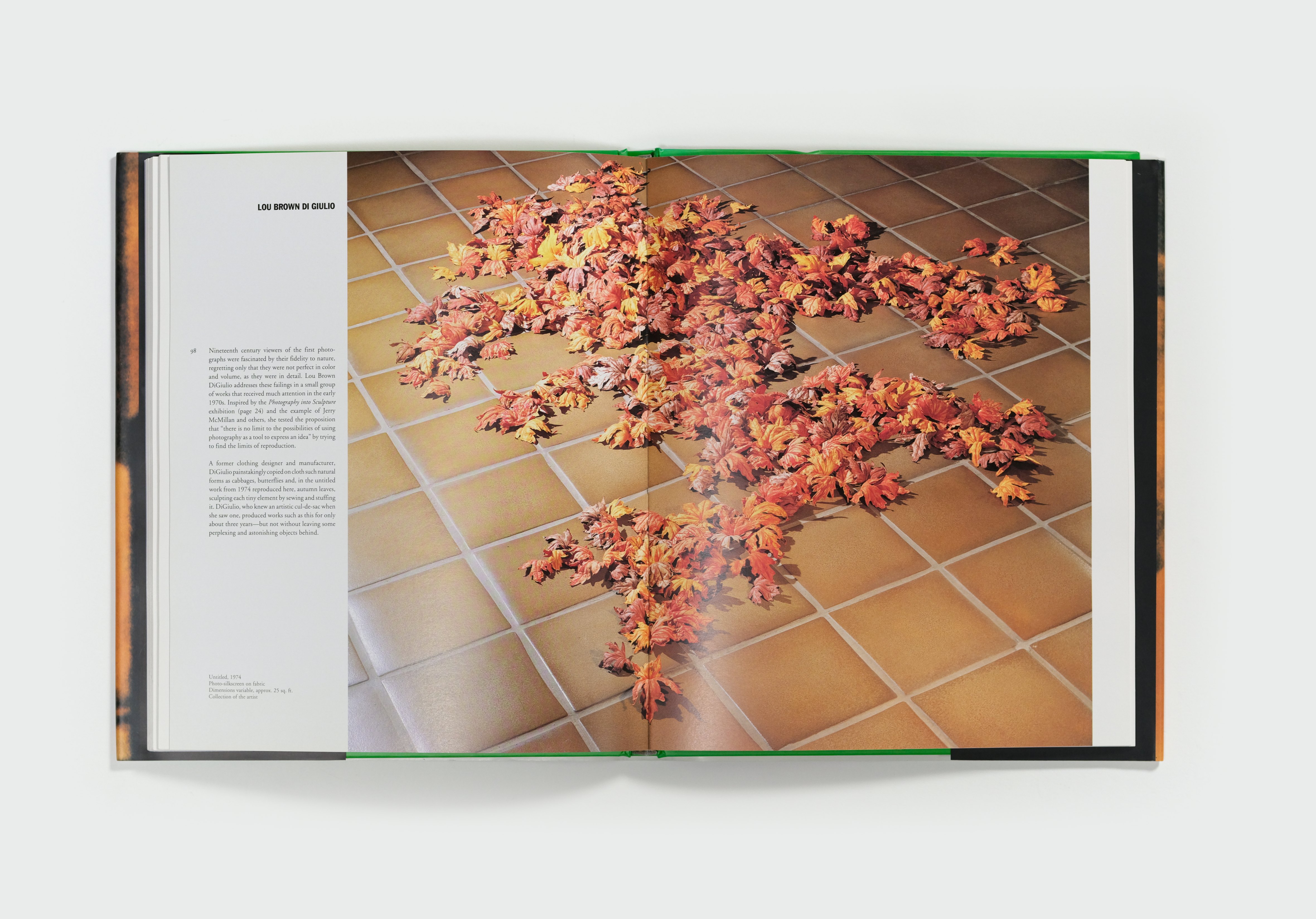 Proof: Los Angeles Art and the Photograph 1960-1980 — spread 2