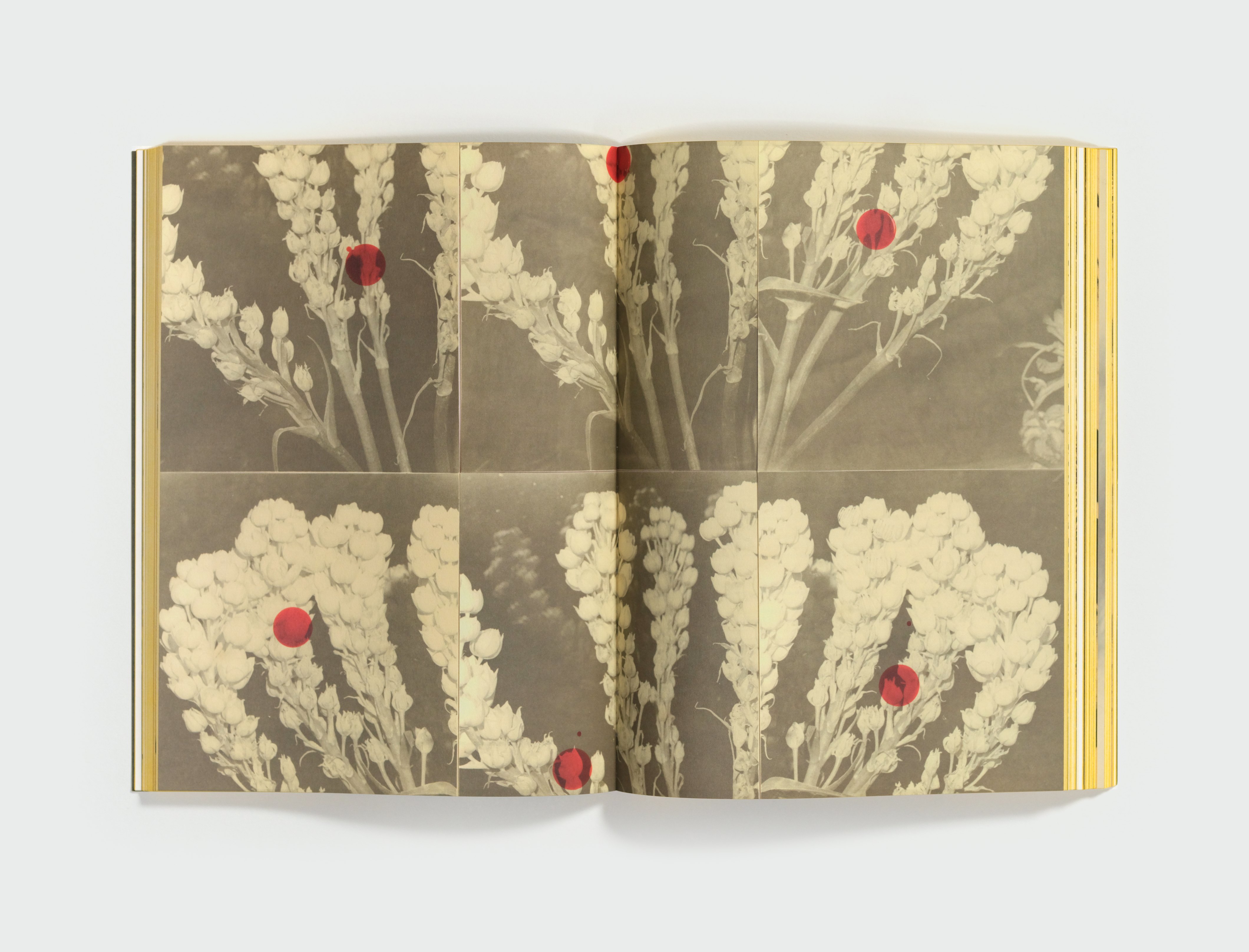 Trying to Make It Real: Part I & II by Bruno V. Roels — spread 3