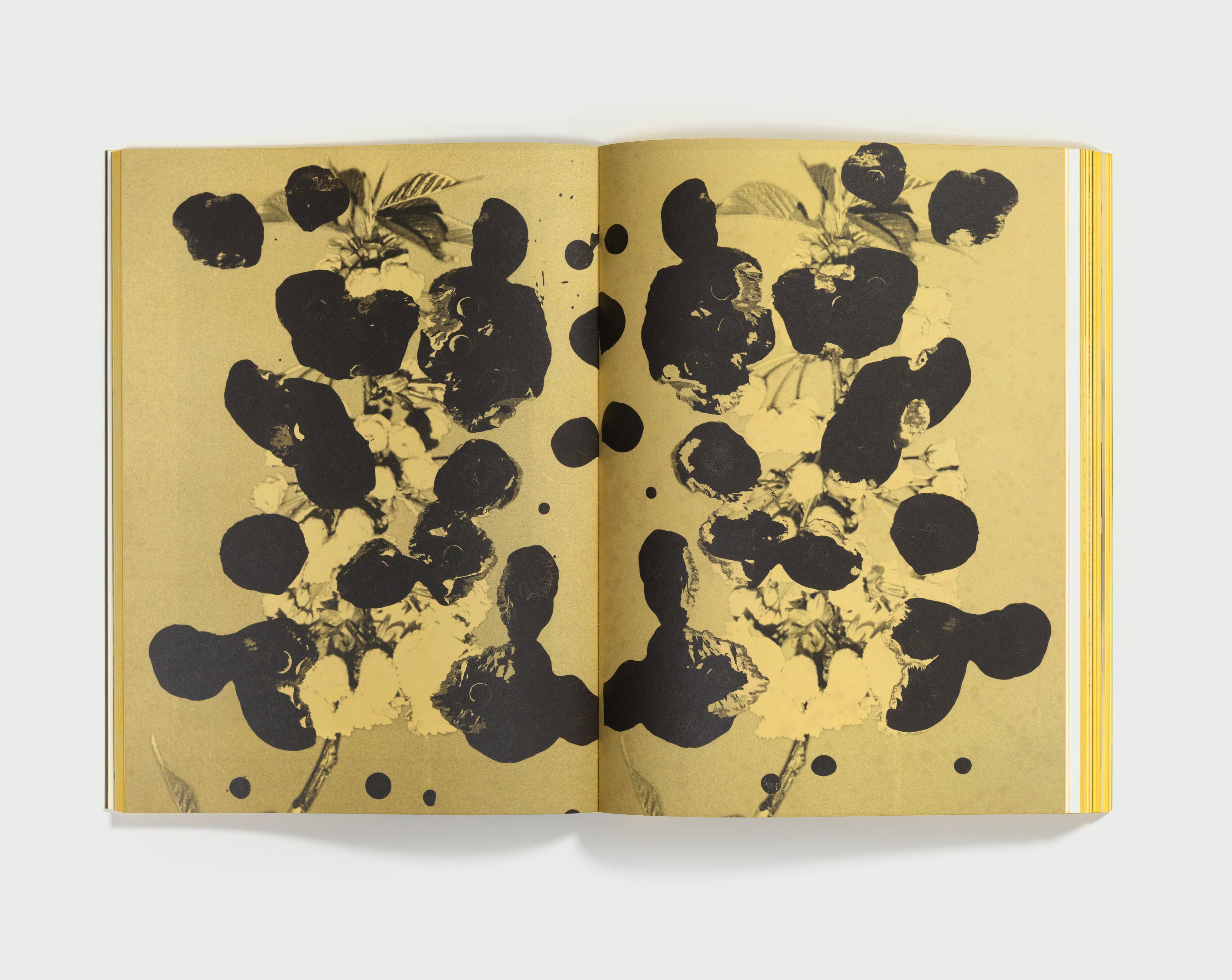 Trying to Make It Real: Part I & II by Bruno V. Roels — spread 5