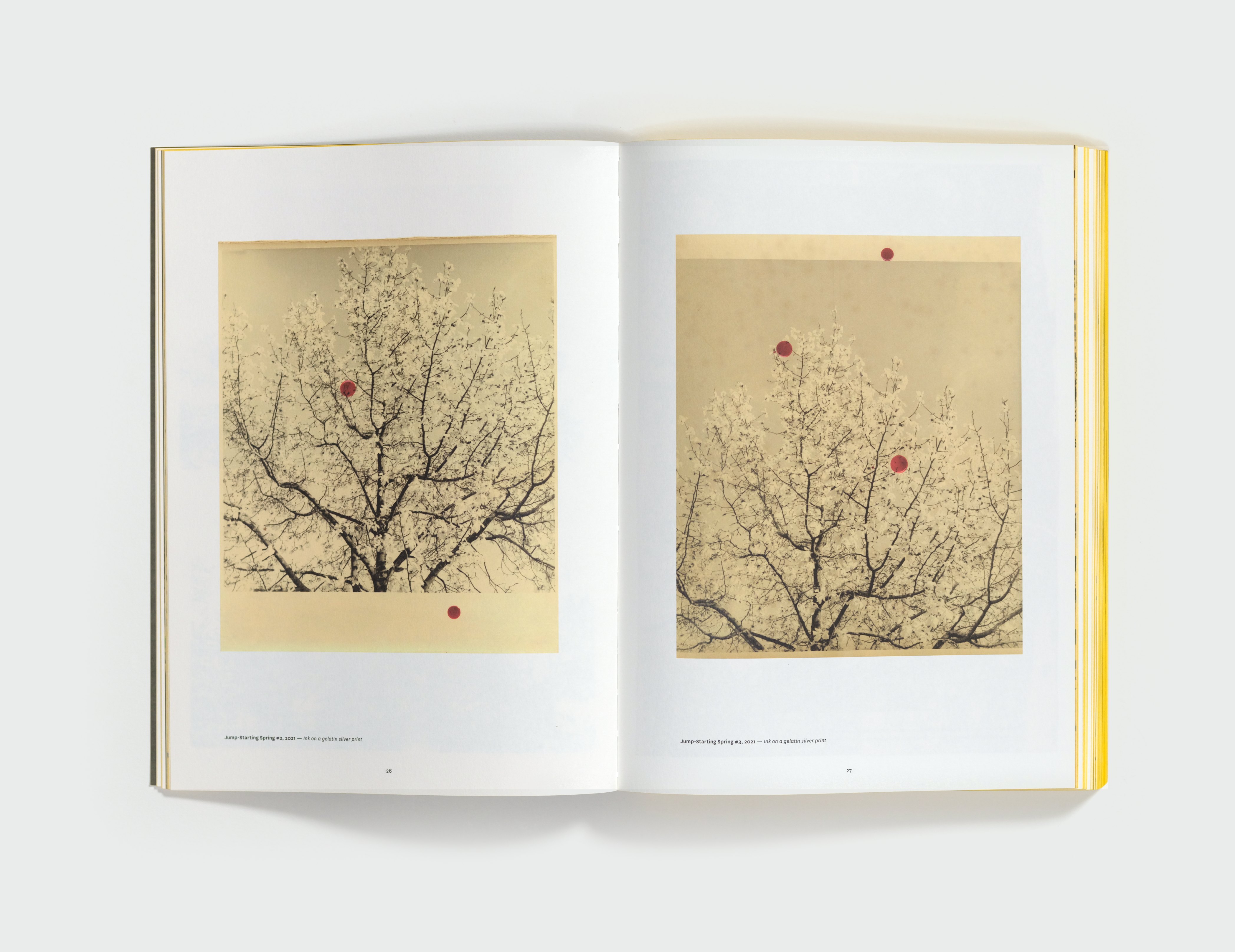 Trying to Make It Real: Part I & II by Bruno V. Roels — spread 7