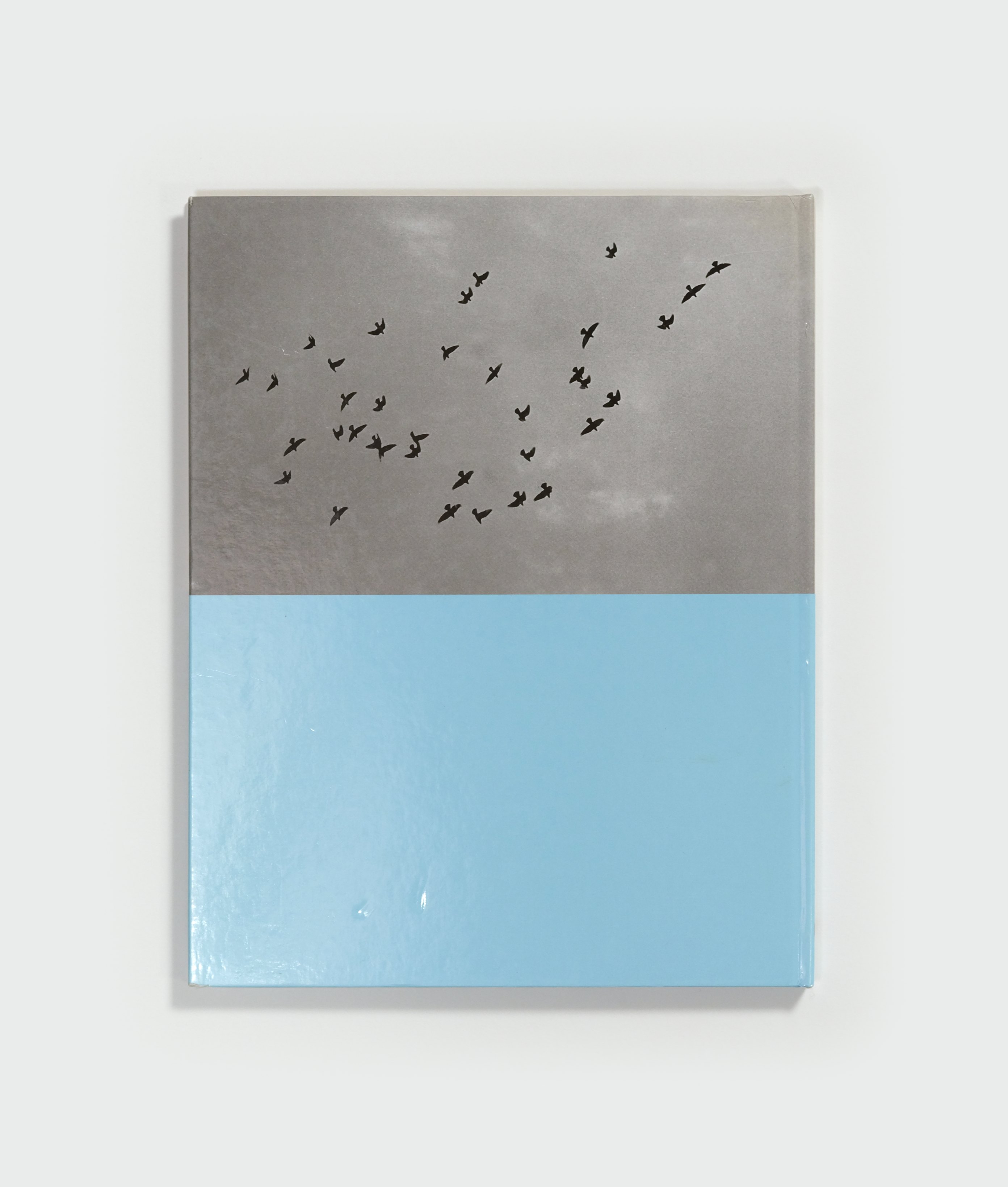 Undisclosed Recipients by Philippe Van Snick — back cover
